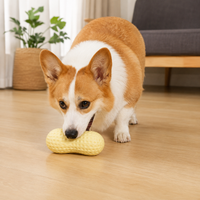 FREE GIFT! -  Dental Chew Toy