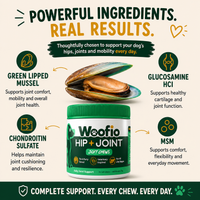 Woofio | Hip & Joint Soft Chews