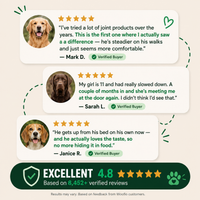 Woofio | Hip & Joint Soft Chews
