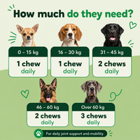 Woofio | Hip & Joint Soft Chews