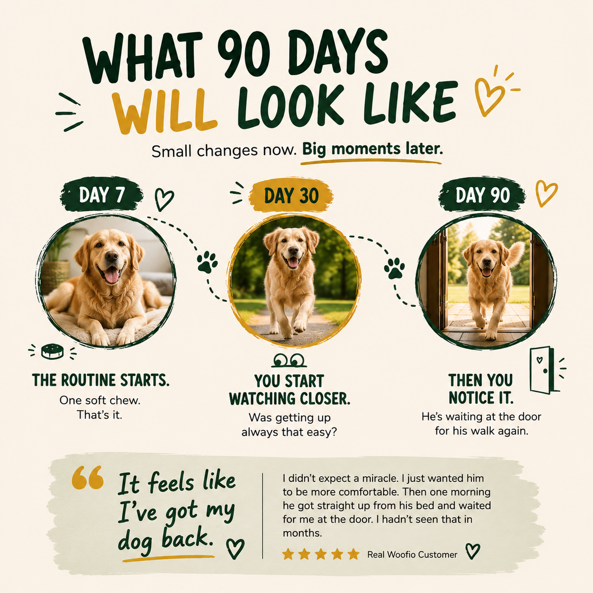 Woofio | Hip & Joint Soft Chews